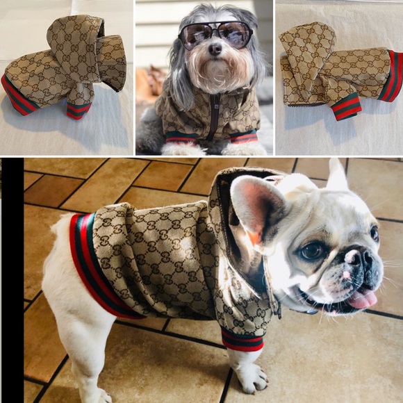 BNIP GUCCI POOCHI GG Monogram Hoodie Pet Jacket - Picture 6 of 8